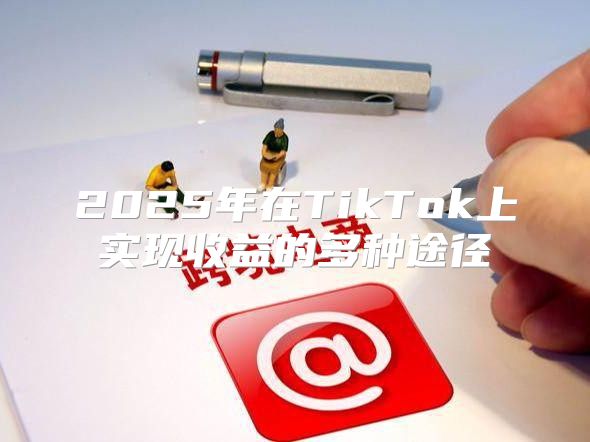 2025年在TikTok上实现收益的多种途径