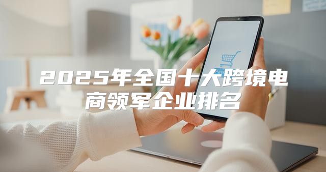 2025年全国十大跨境电商领军企业排名