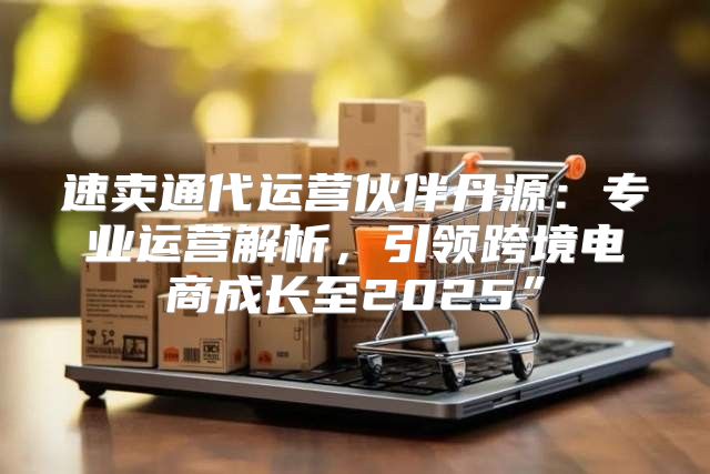 速卖通代运营伙伴丹源：专业运营解析，引领跨境电商成长至2025”