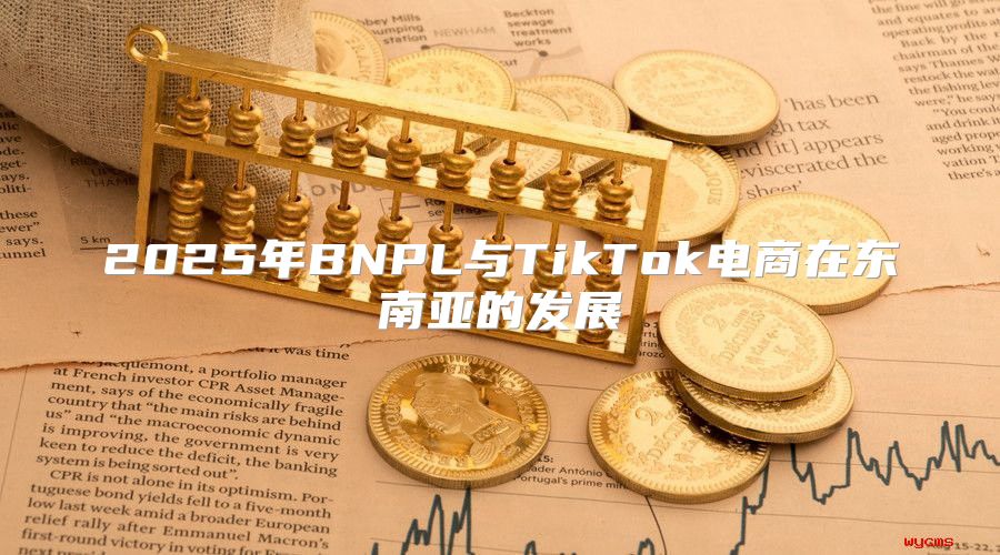 2025年BNPL与TikTok电商在东南亚的发展