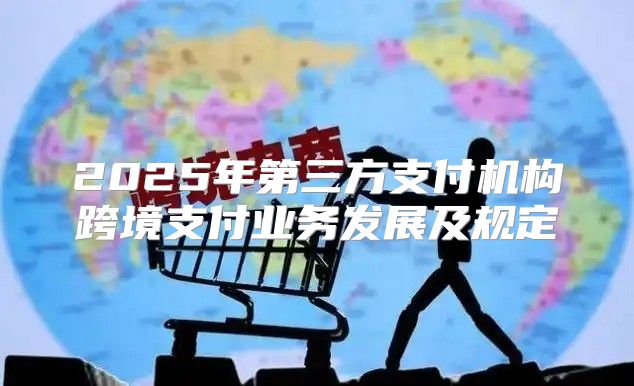 2025年第三方支付机构跨境支付业务发展及规定
