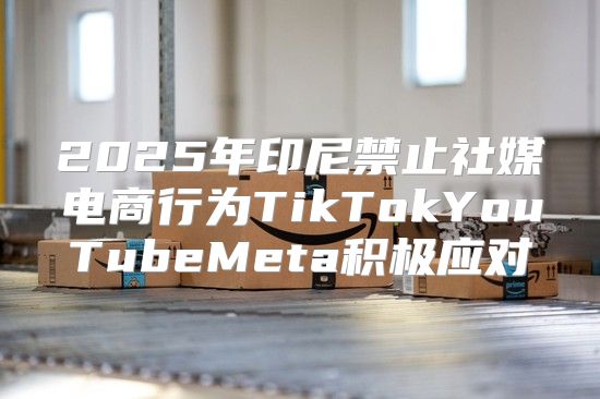 2025年印尼禁止社媒电商行为TikTokYouTubeMeta积极应对
