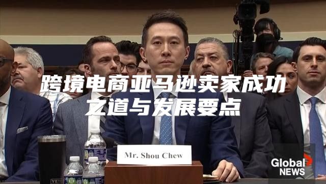 跨境电商亚马逊卖家成功之道与发展要点