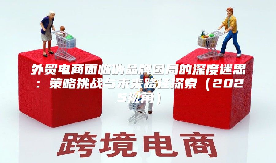 外贸电商面临伪品牌困局的深度迷思：策略挑战与未来路径探索2025视角