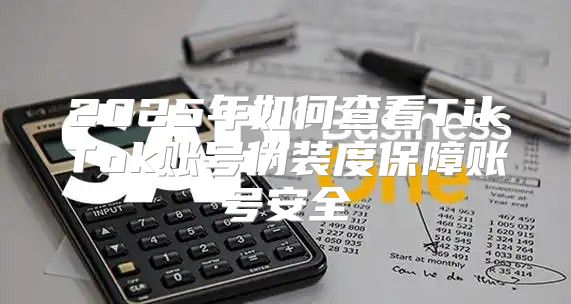 2025年如何查看TikTok账号伪装度保障账号安全