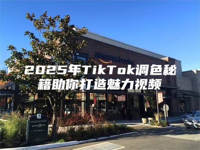 2025年TikTok调色秘籍助你打造魅力视频
