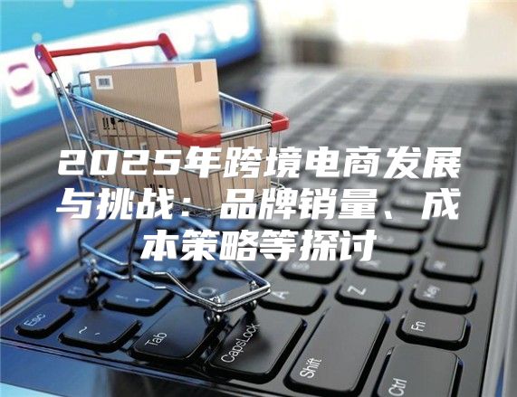 2025年跨境电商发展与挑战：品牌销量、成本策略等探讨