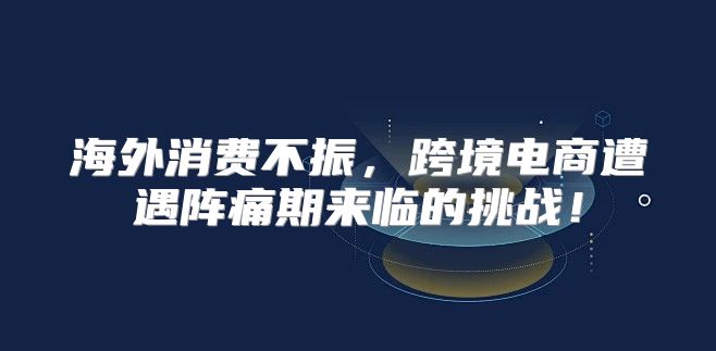 海外消费不振，跨境电商遭遇阵痛期来临的挑战！