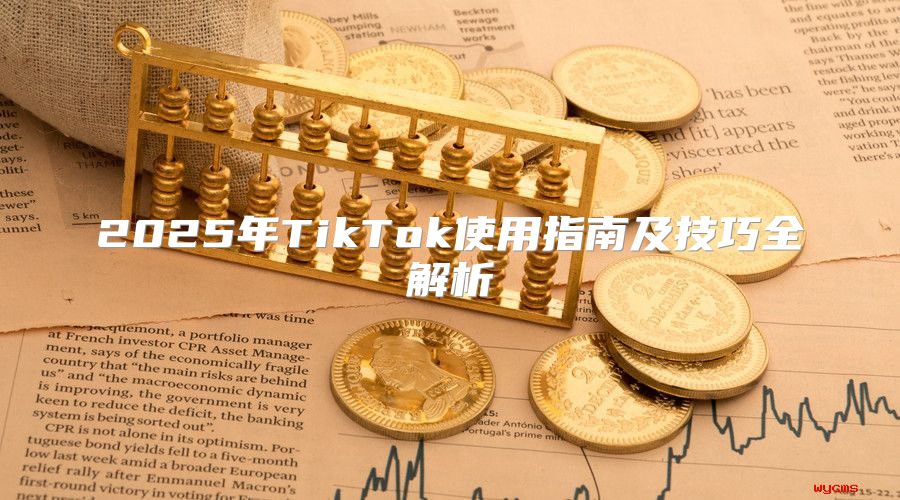 2025年TikTok使用指南及技巧全解析