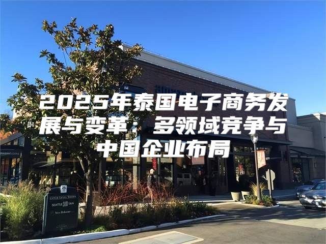 2025年泰国电子商务发展与变革：多领域竞争与中国企业布局