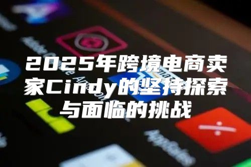2025年跨境电商卖家Cindy的坚持探索与面临的挑战