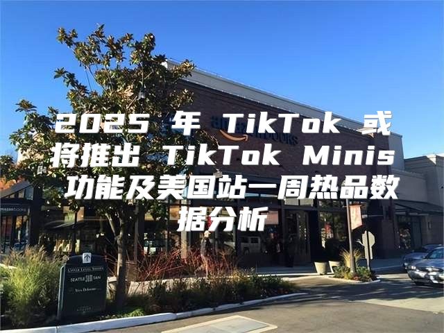 2025 年 TikTok 或将推出 TikTok Minis 功能及美国站一周热品数据分析