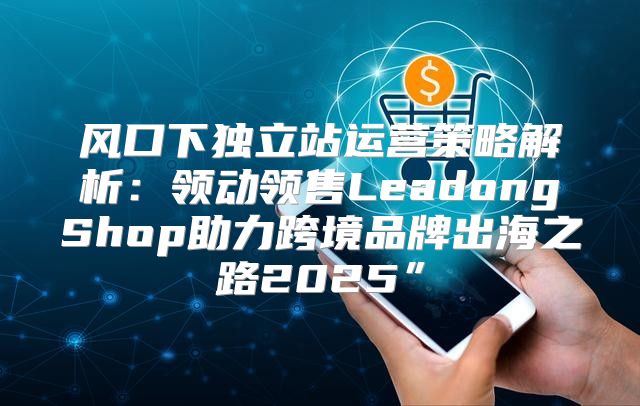 风口下独立站运营策略解析：领动领售LeadongShop助力跨境品牌出海之路2025”