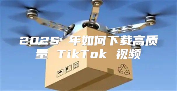 2025 年如何下载高质量 TikTok 视频