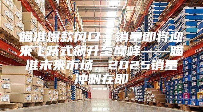 瞄准爆款风口，销量即将迎来飞跃式飙升至巅峰——瞄准未来市场，2025销量冲刺在即