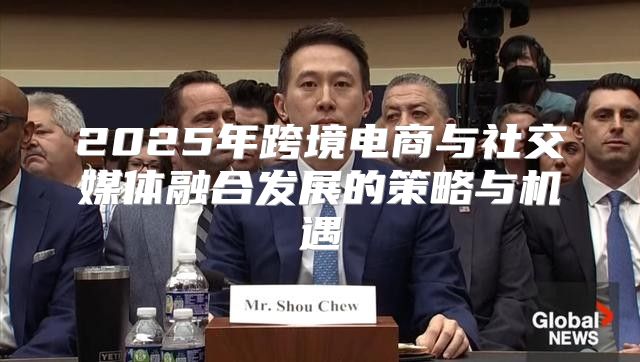 2025年跨境电商与社交媒体融合发展的策略与机遇