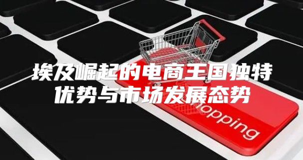 埃及崛起的电商王国独特优势与市场发展态势