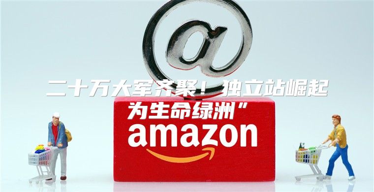 二十万大军齐聚！独立站崛起为生命绿洲”