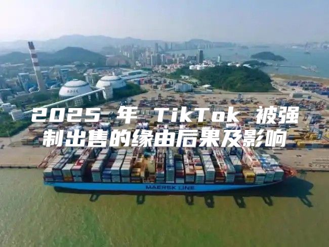2025 年 TikTok 被强制出售的缘由后果及影响