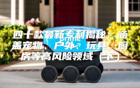 四十款最新专利揭秘：涵盖宠物、户外、玩具、厨房等高风险领域下