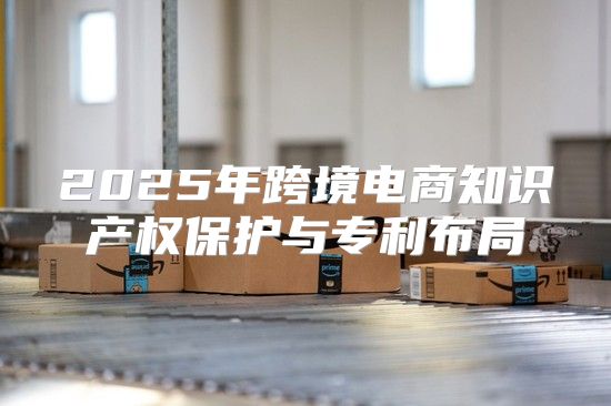 2025年跨境电商知识产权保护与专利布局