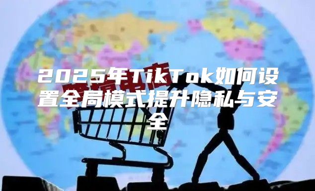 2025年TikTok如何设置全局模式提升隐私与安全