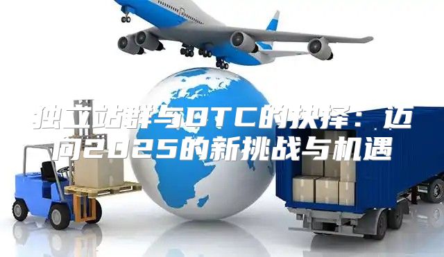 独立站群与DTC的抉择：迈向2025的新挑战与机遇