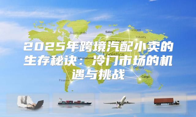 2025年跨境汽配小卖的生存秘诀：冷门市场的机遇与挑战