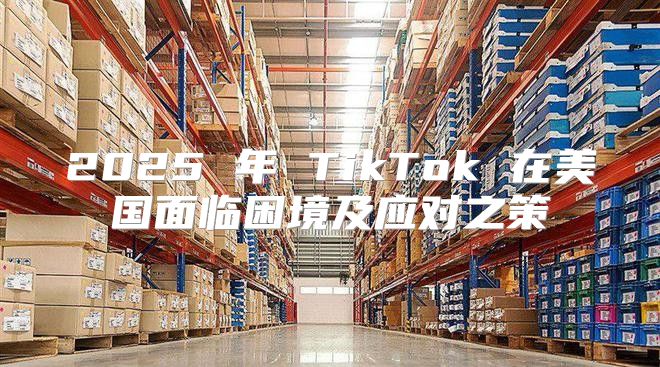2025 年 TikTok 在美国面临困境及应对之策
