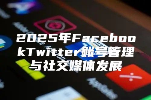 2025年FacebookTwitter账号管理与社交媒体发展