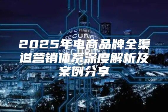 2025年电商品牌全渠道营销体系深度解析及案例分享