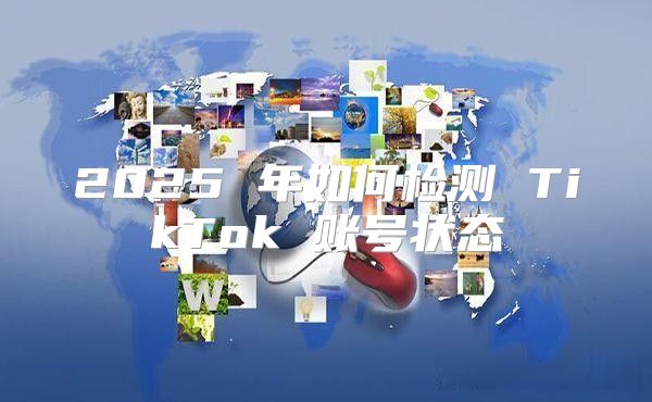 2025 年如何检测 TikTok 账号状态
