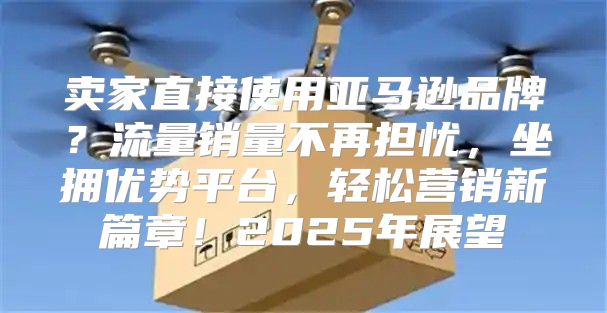 卖家直接使用亚马逊品牌？流量销量不再担忧，坐拥优势平台，轻松营销新篇章！2025年展望
