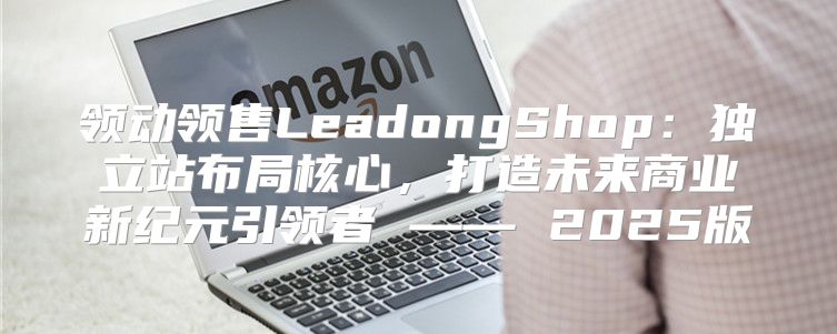 领动领售LeadongShop：独立站布局核心，打造未来商业新纪元引领者 —— 2025版