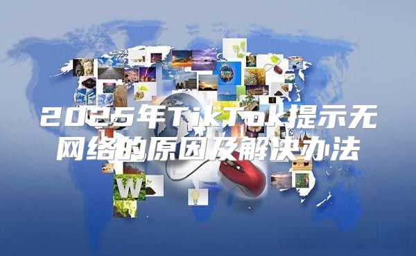 2025年TikTok提示无网络的原因及解决办法