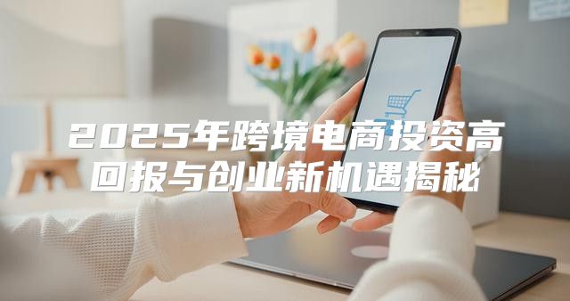 2025年跨境电商投资高回报与创业新机遇揭秘