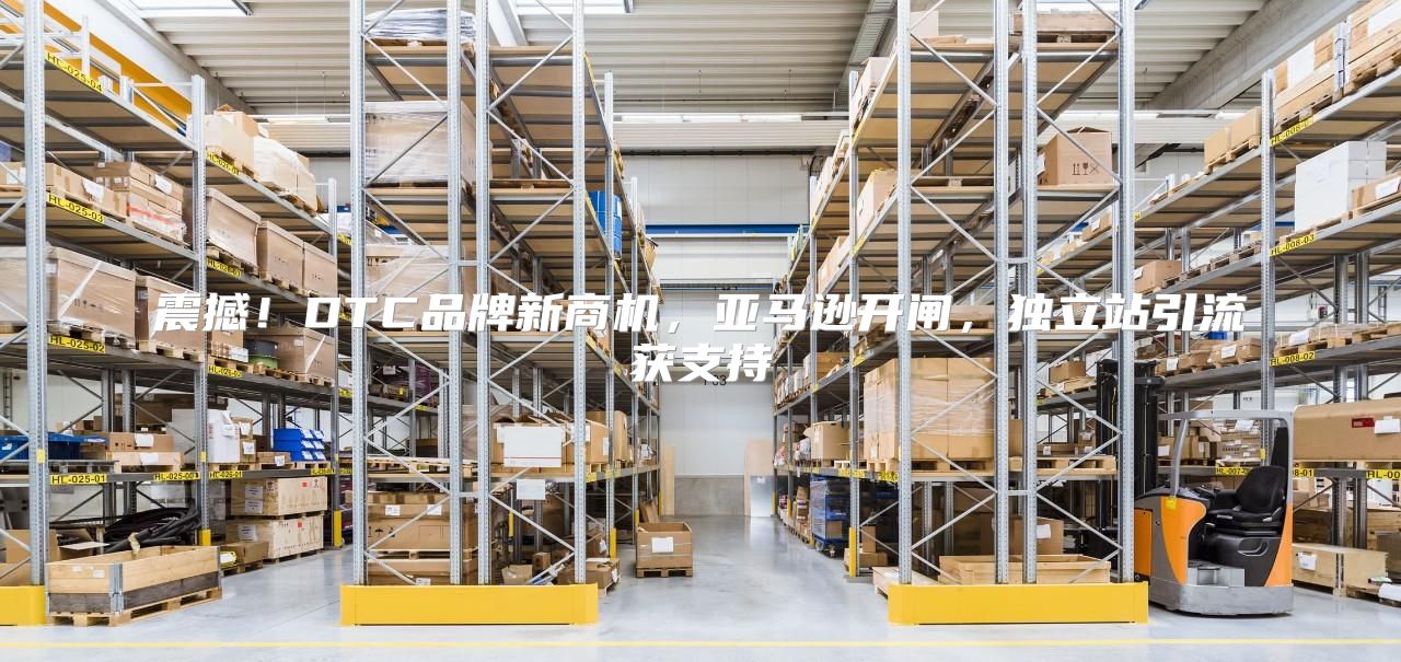 震撼！DTC品牌新商机，亚马逊开闸，独立站引流获支持