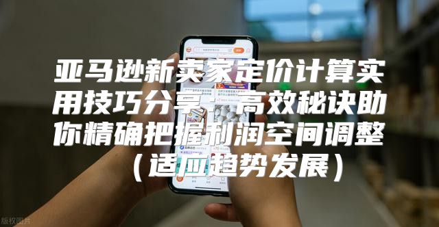 亚马逊新卖家定价计算实用技巧分享：高效秘诀助你精确把握利润空间调整适应趋势发展
