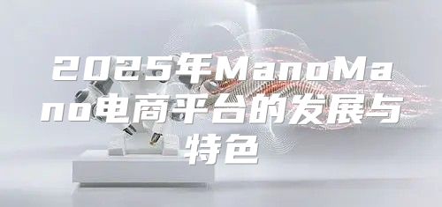 2025年ManoMano电商平台的发展与特色
