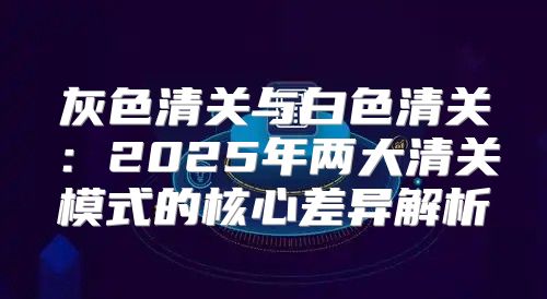 灰色清关与白色清关：2025年两大清关模式的核心差异解析