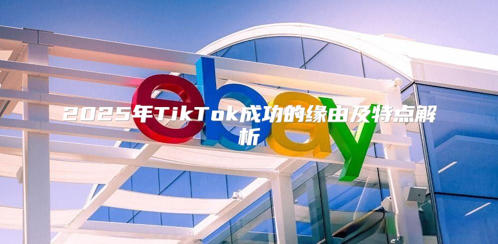 2025年TikTok成功的缘由及特点解析