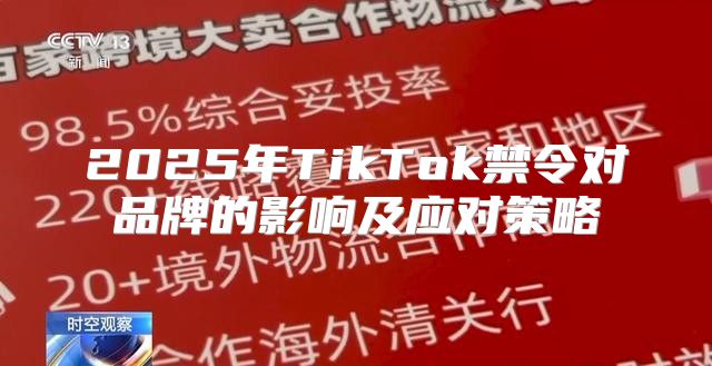 2025年TikTok禁令对品牌的影响及应对策略
