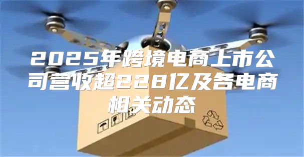 2025年跨境电商上市公司营收超228亿及各电商相关动态