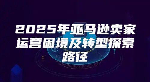 2025年亚马逊卖家运营困境及转型探索路径