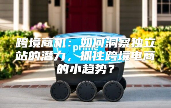 跨境商机：如何洞察独立站的潜力，抓住跨境电商的小趋势？