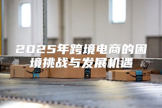 2025年跨境电商的困境挑战与发展机遇