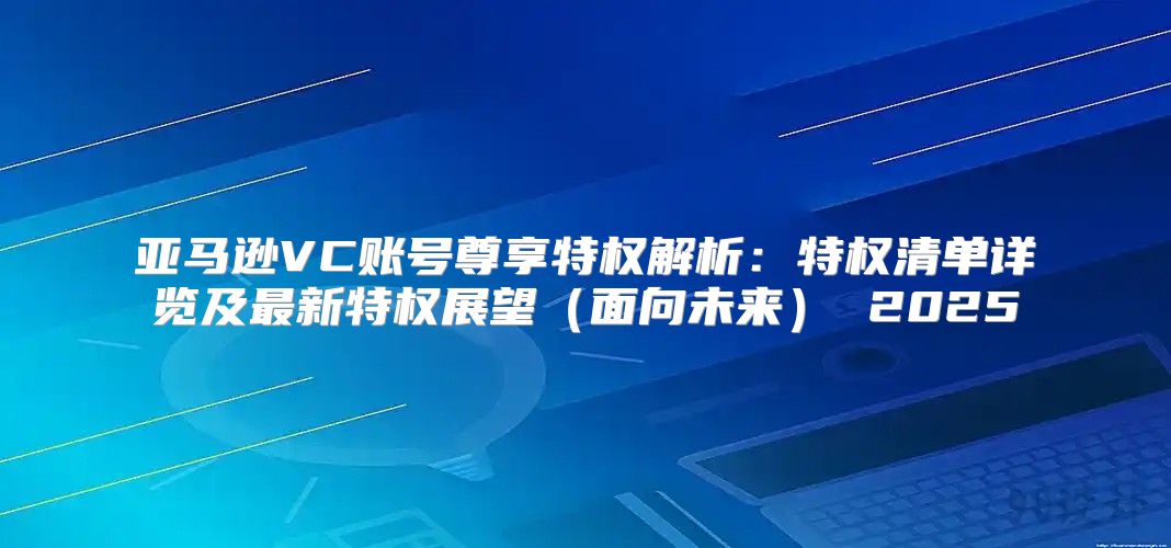 亚马逊VC账号尊享特权解析：特权清单详览及最新特权展望面向未来 2025