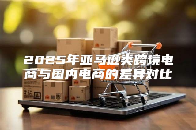 2025年亚马逊类跨境电商与国内电商的差异对比