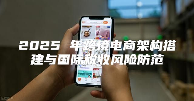 2025 年跨境电商架构搭建与国际税收风险防范