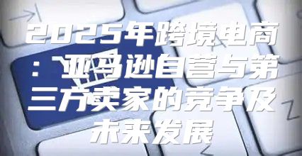 2025年跨境电商：亚马逊自营与第三方卖家的竞争及未来发展